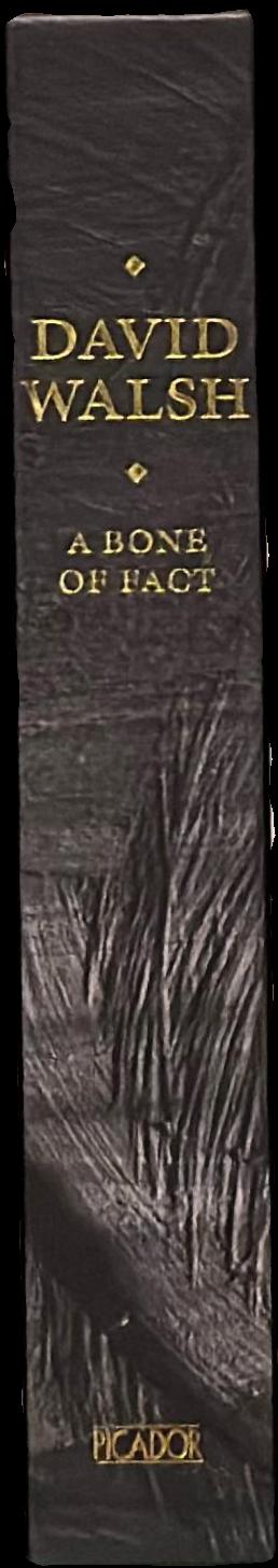 A bone of fact live spine