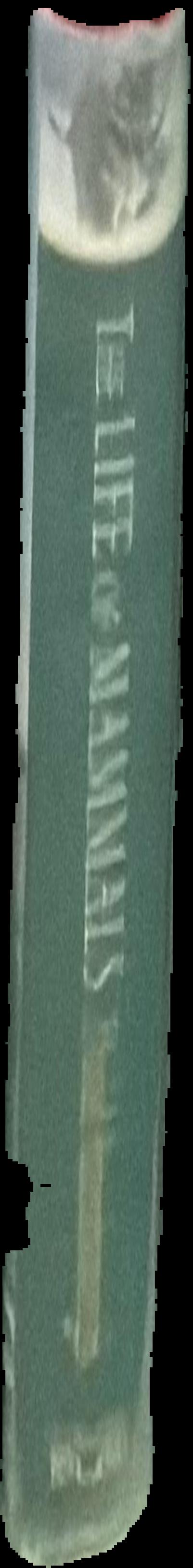 The life of mammals live spine
