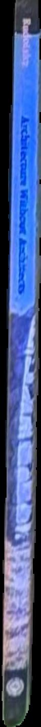 Shaun Gladwell : stereo sequences live spine