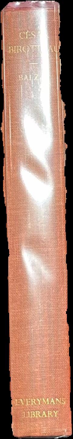 The madman's library : the strangest books, manuscripts and other literary curiosities from history / Edward Brooke-Hitching live spine