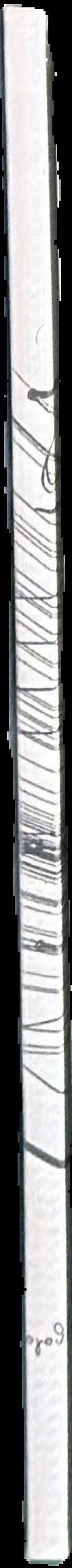 Monica Bonvicini live spine