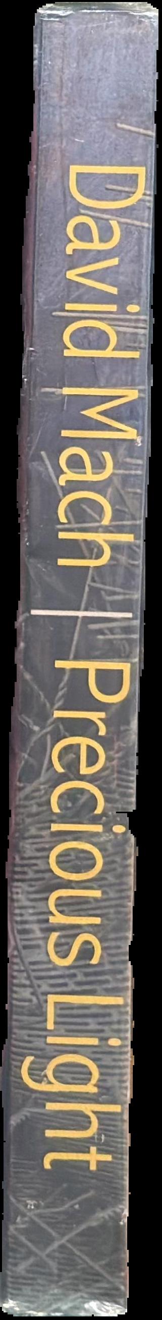 Precious light : King James bible, a celebration 1611-2011 live spine