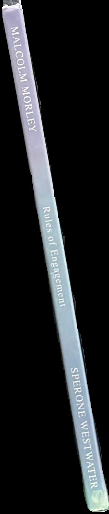Malcolm Morley : rules of engagement live spine