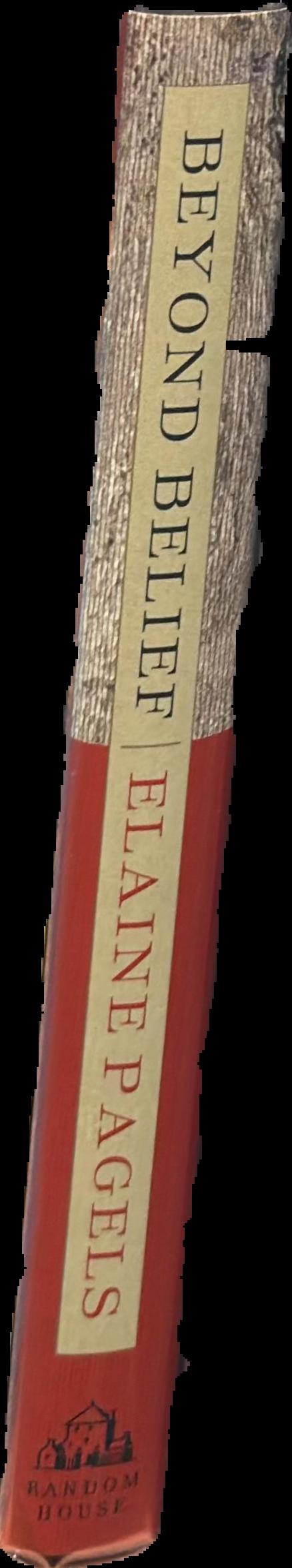 Beyond belief : the secret Gospel of Thomas live spine