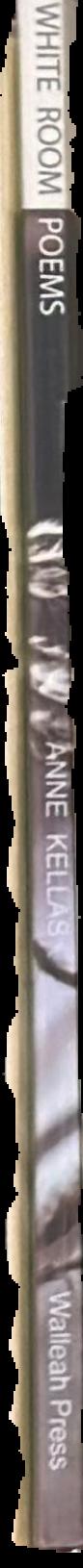 The white room poems / Anne Kellas live spine