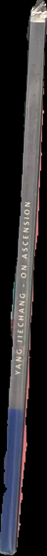 Yang Jiechang : on ascension live spine