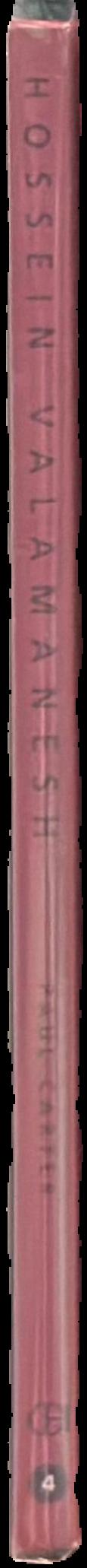Hossein Valamanesh live spine