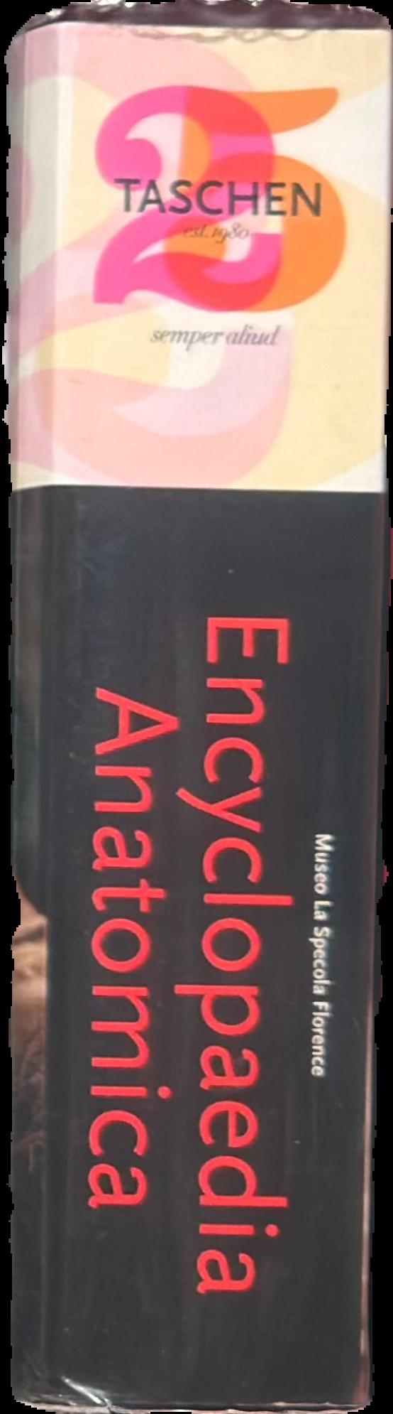 Encyclopaedia anatomica : a collection of anatomical waxes live spine
