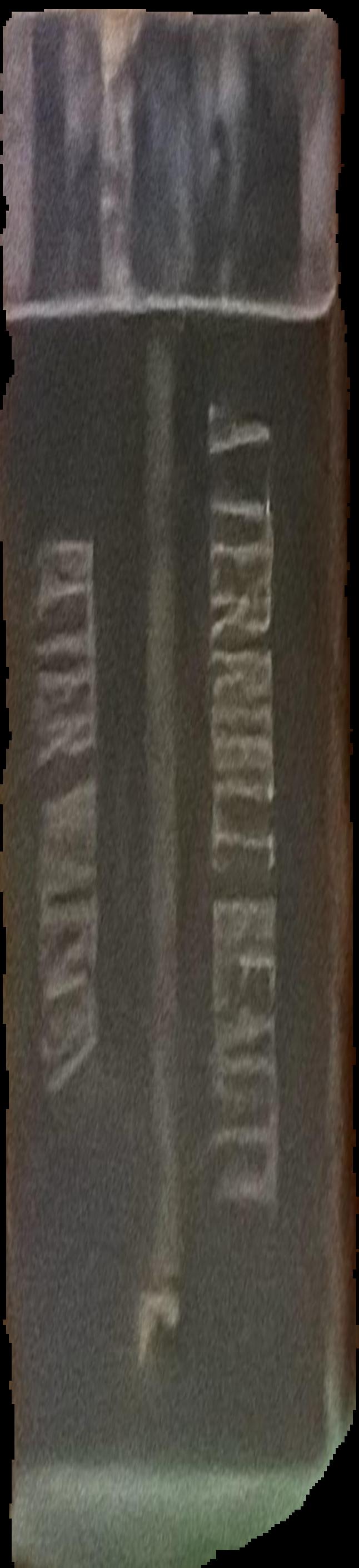 Susan Rothenberg : the prints live spine