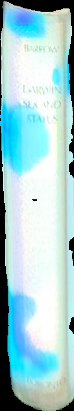 C. Valerii Catvlli Carmina live spine