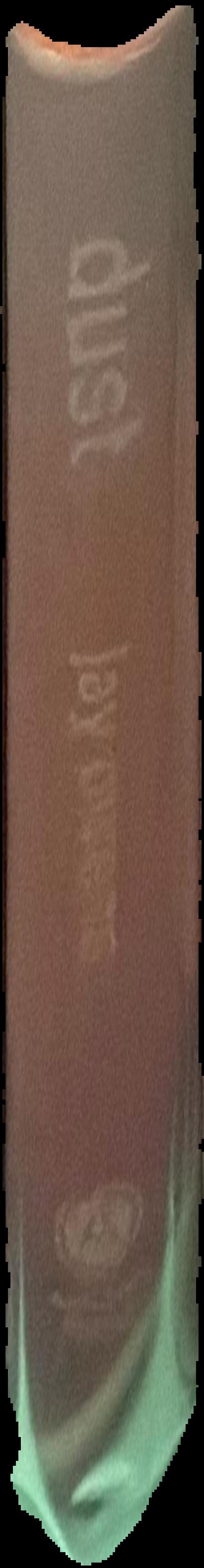 Notebooks 1951-1959 live spine