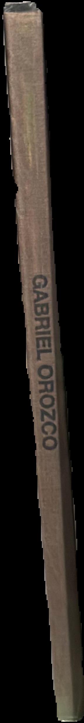 Gabriel Orozco / text by Albano Silva Pereira live spine