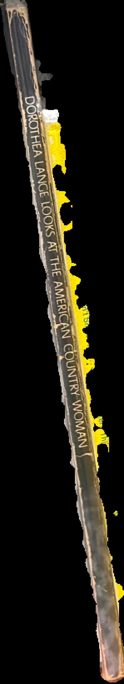 The American discovery of ancient Egypt live spine