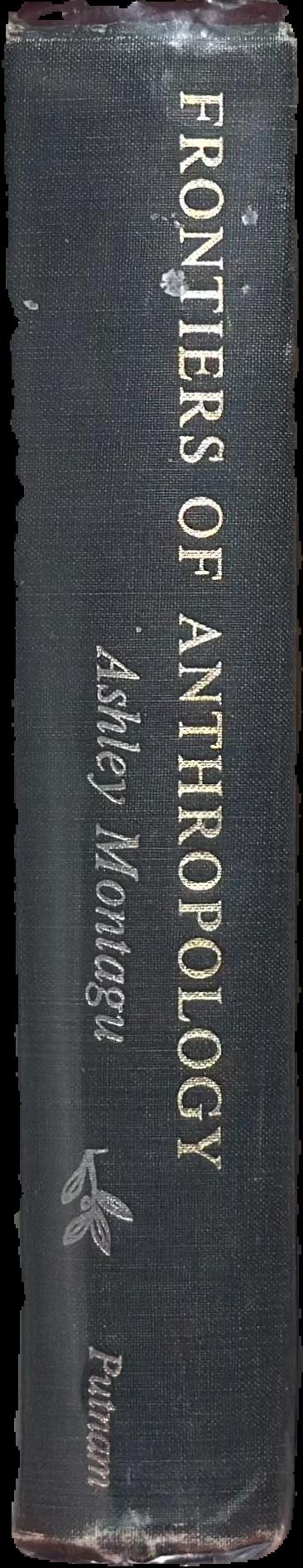 Frontiers of anthropology live spine