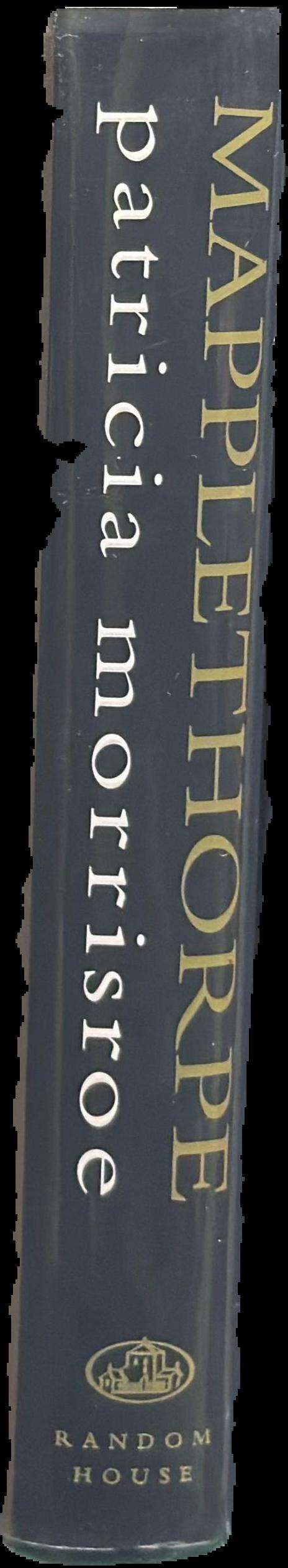 Mapplethorpe : a biography live spine