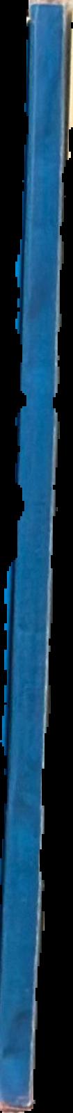 Canopic equipment in the Petrie Collection live spine
