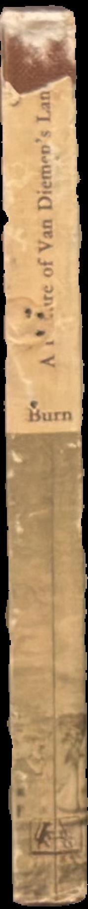 A picture of Van Diemen's Land live spine