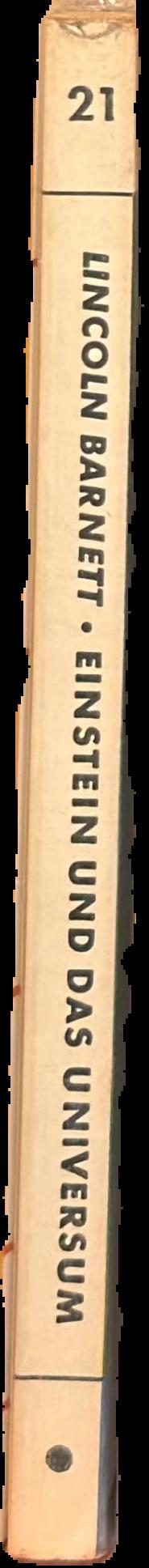 Einstein und das Universum live spine