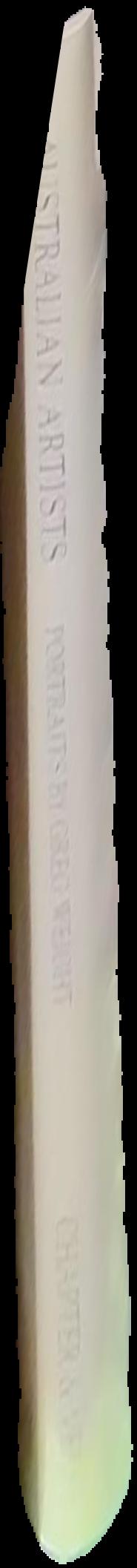 Lives of the Papunya Tula artists live spine