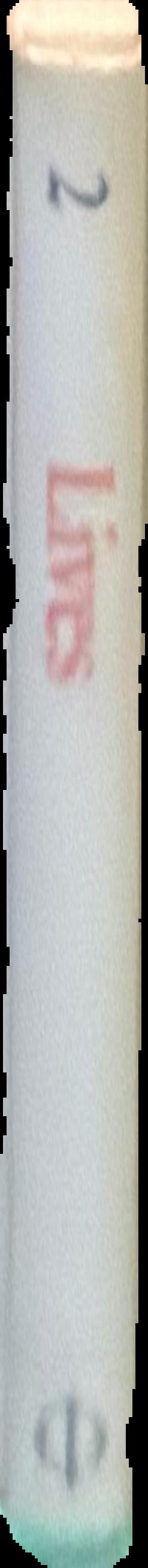 The lives of artists : volume two live spine