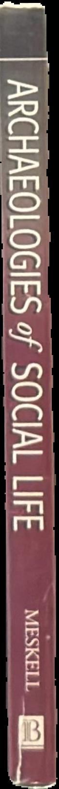 Archaeologies of social life : age, sex, class et cetera in ancient Egypt live spine