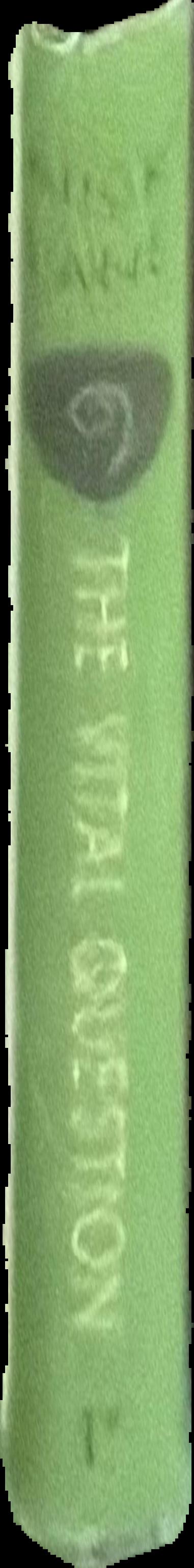 The vital question : energy, evolution, and the origins of complex life live spine