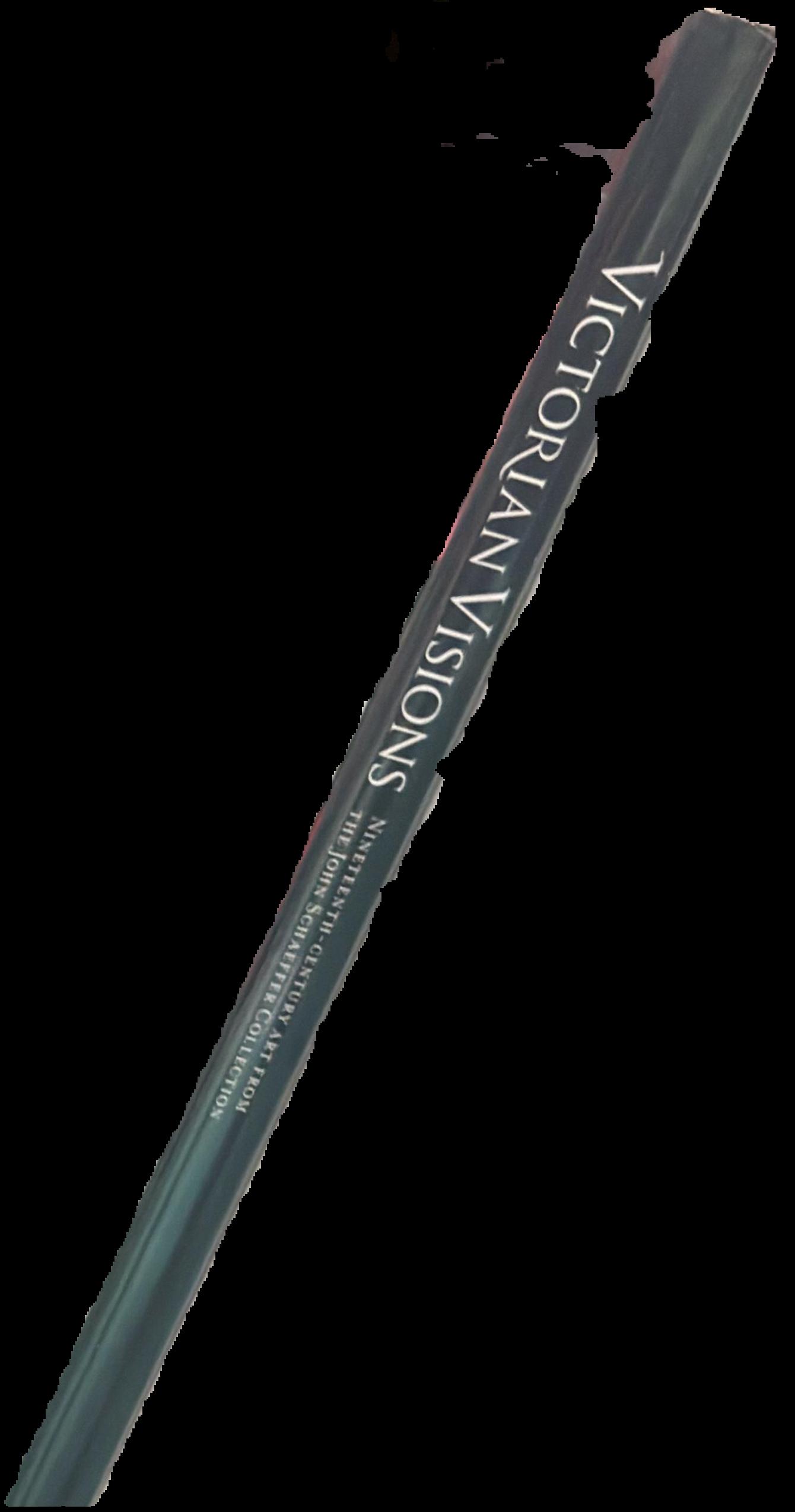 Victorian visions : nineteenth-century art from the John Schaeffer Collection live spine