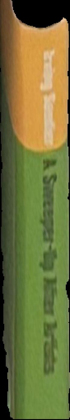 Dvaravati : the earliest kingdom of Siam (6th to 11th century A. D. ) live spine
