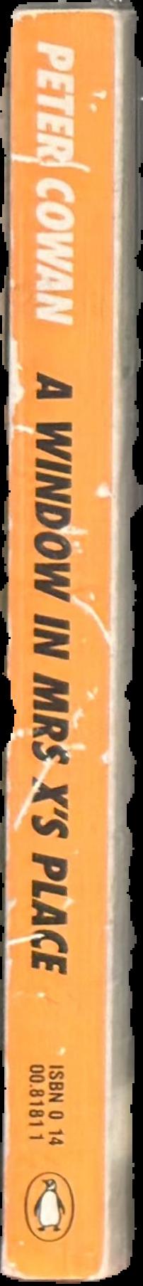 A window in Mrs X's place live spine