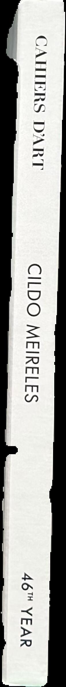 Cildo Meireles live spine