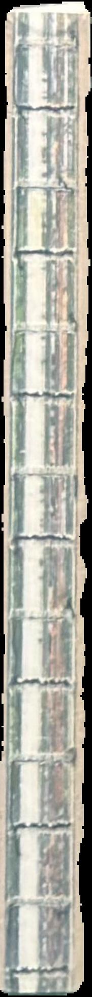The illustrated cat / compiled by Jean-Claude Suares ; designed by Seymour Chwast live spine