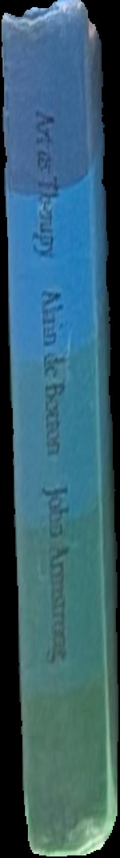 The arts in America : the nineteenth century live spine