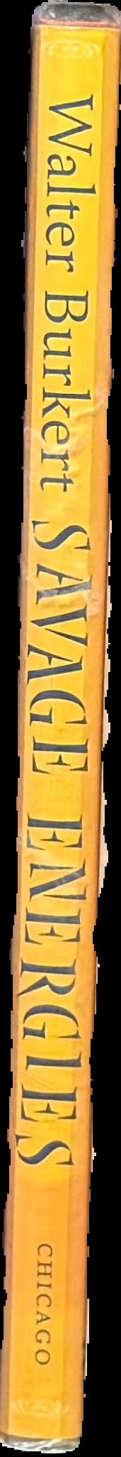 Savage energies : lessons of myth and ritual in ancient Greece live spine