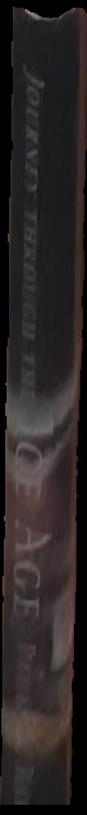 Journey through the Ice Age live spine