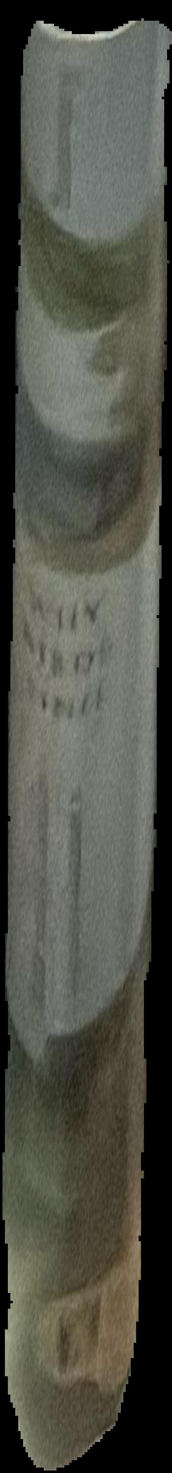 S-O-M-E-O-N-E live spine