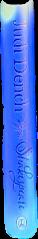 City-coins of Palestine : volume III : Hippos-Sussita, Neapolis, Nicopolis, Nysa-Scytopolis, Caesarea-Panias, Pelusium, Raphia, Sebaste, Sepphoris-Diocaesarea, Tiberias live spine