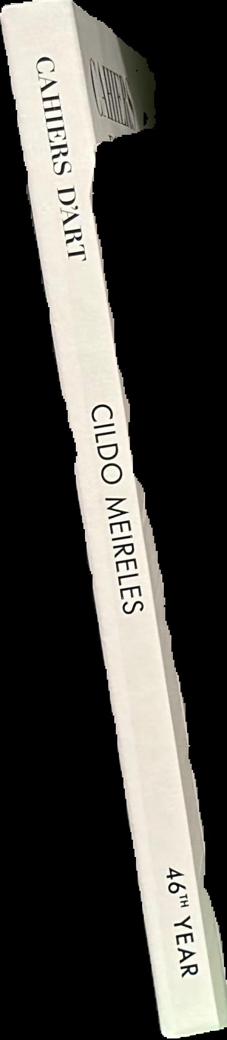Cildo Meireles live spine