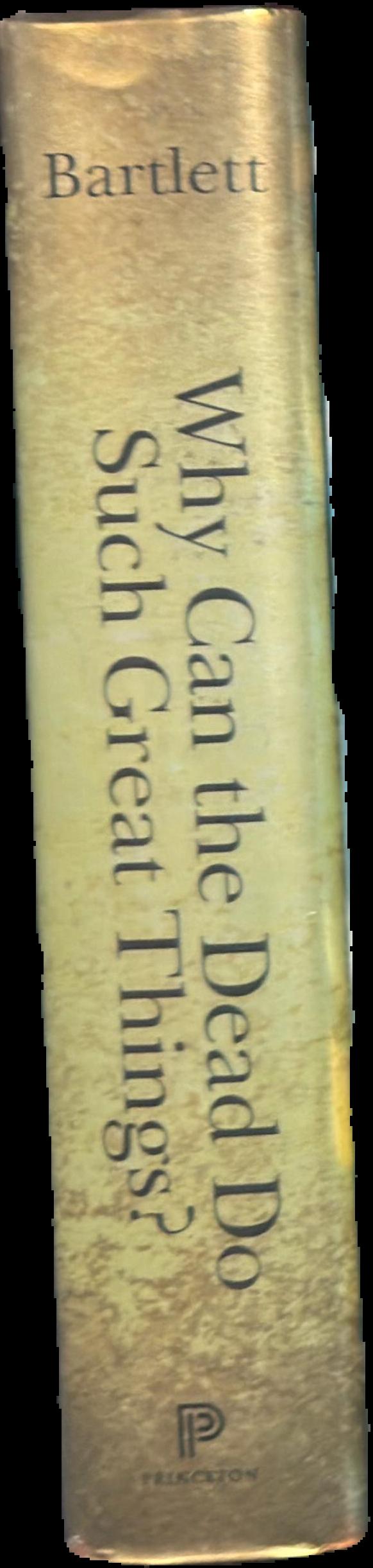 Why can the dead do such great things? : saints and worshippers from the martyrs to the Reformation / Robert Bartlett live spine