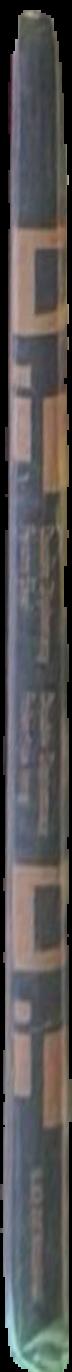 2006 Clemenger contemporary art award live spine