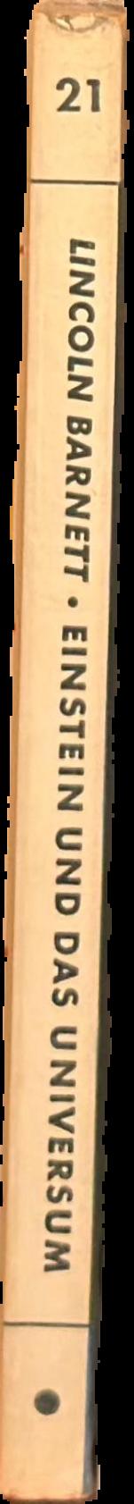 Einstein und das Universum live spine