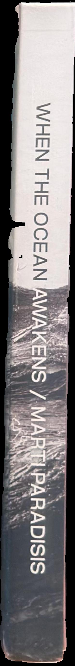 When the ocean awakens : the raw untold stories of big-wave surfing in Tasmania live spine