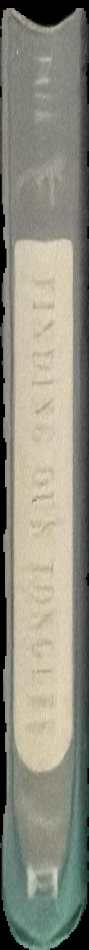Finding our tongues : mothers, infants and the origins of language / Dean Falk live spine