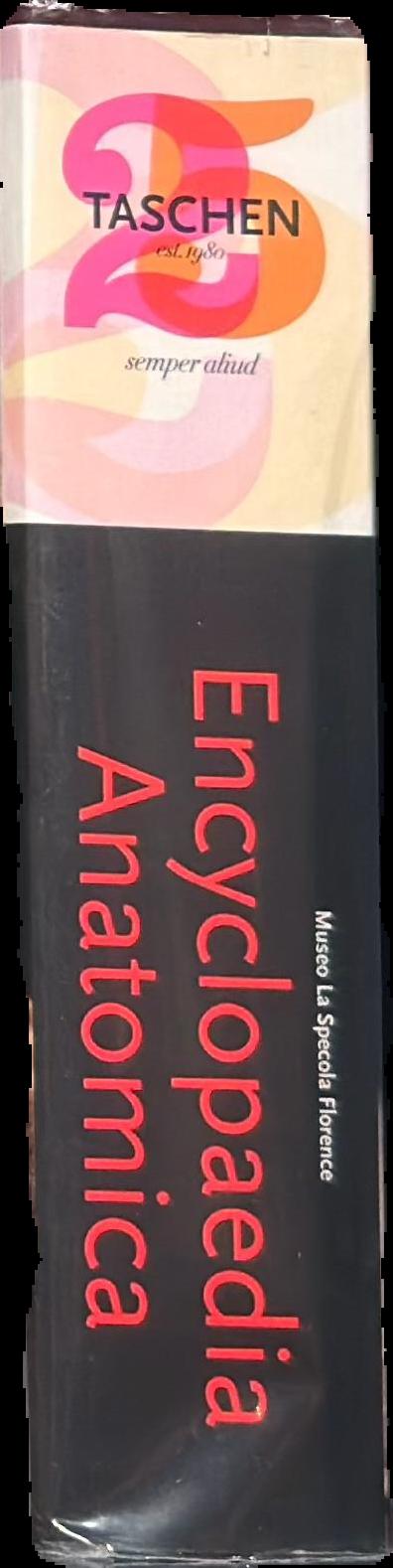 Encyclopaedia anatomica : a collection of anatomical waxes live spine