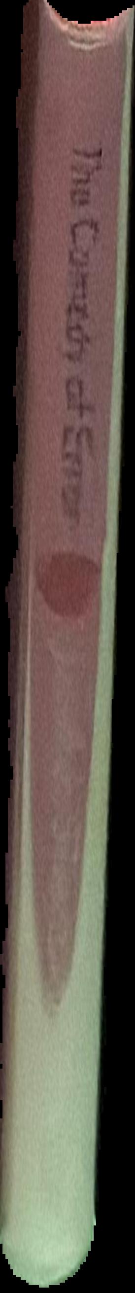 Take care of yourself live spine