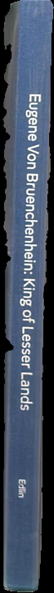 Eugene Von Bruenchenhein : king of lesser lands / Andrew Edlin Gallery live spine