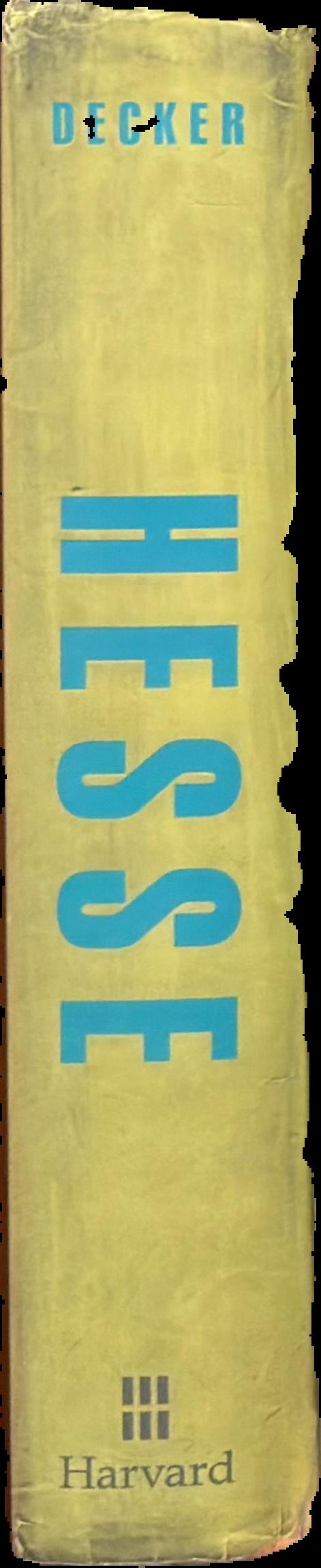 Hesse : the wanderer and his shadow live spine