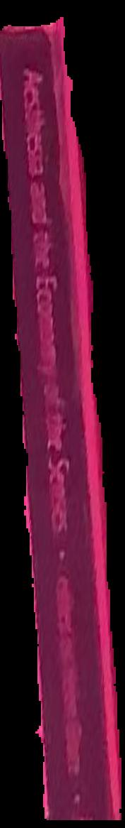 Aesthesia and the economy of the senses live spine