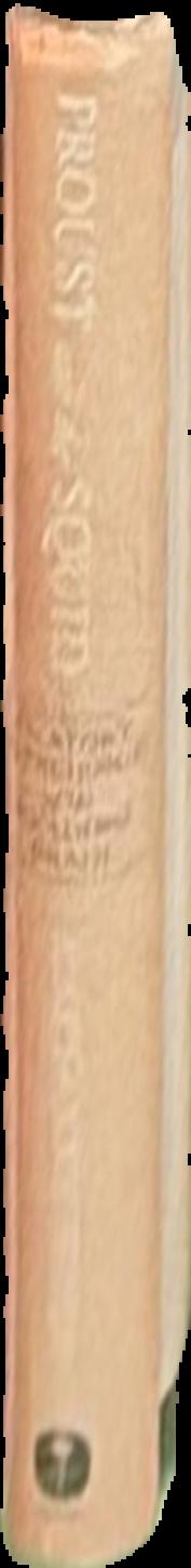 Proust and the squid : the story and science of the reading brain live spine