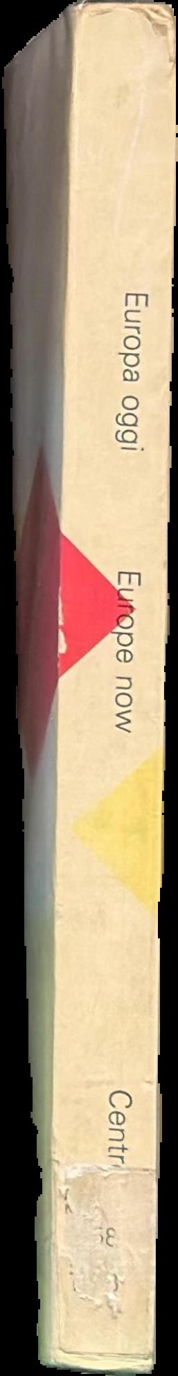 Europa oggi : arte contemporanea nell'Europa Occidentale = Europe now : contemporary art in Western Europe live spine