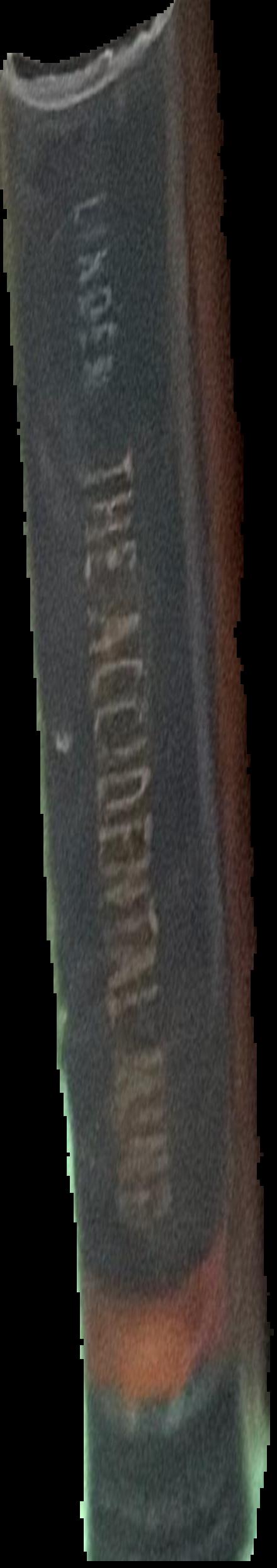 The accursed share : an essay on general economy : volume I : consumption live spine
